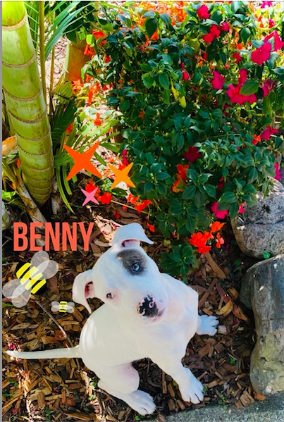 Benny